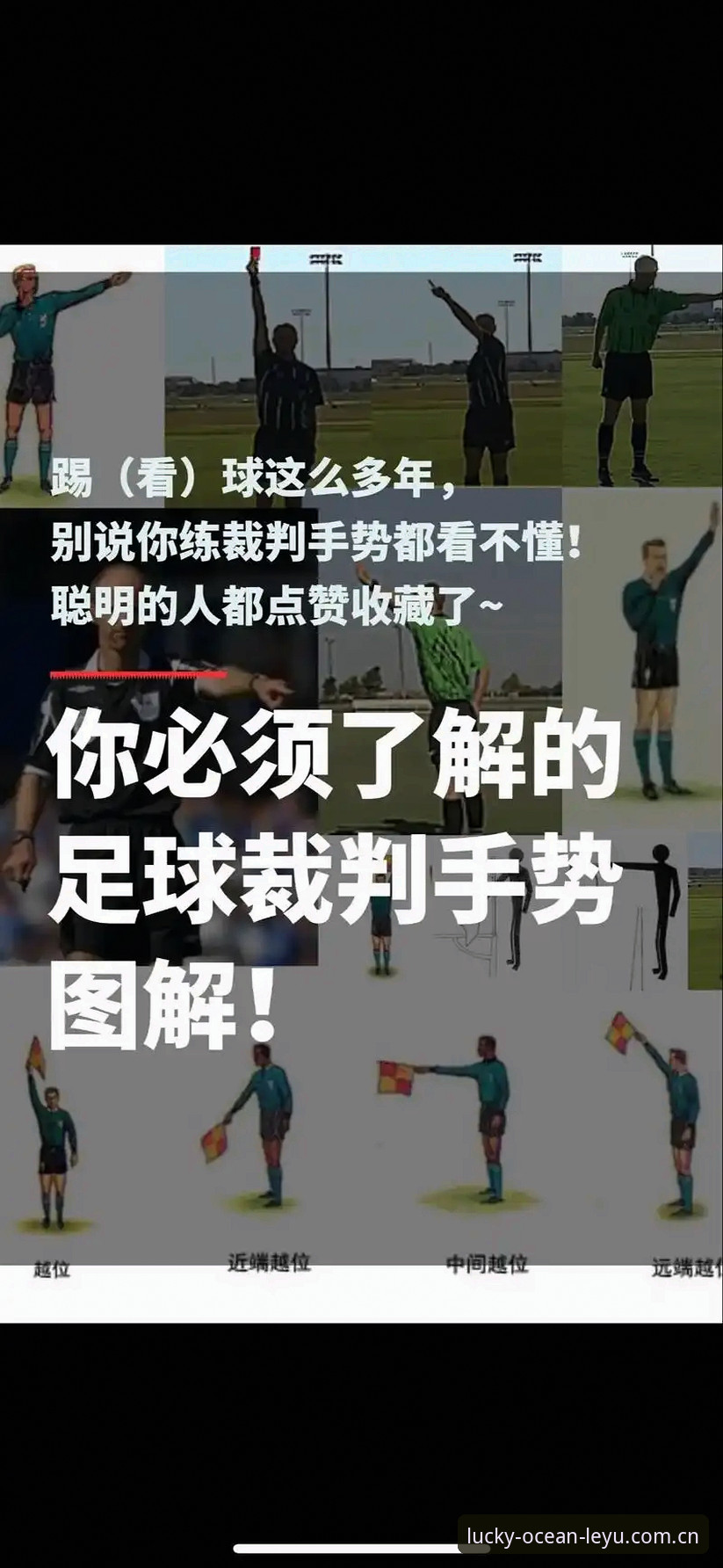 乐鱼登录通道iOS版 世界杯裁判不看球迷评价,他判断好坏的真正标准是什么?