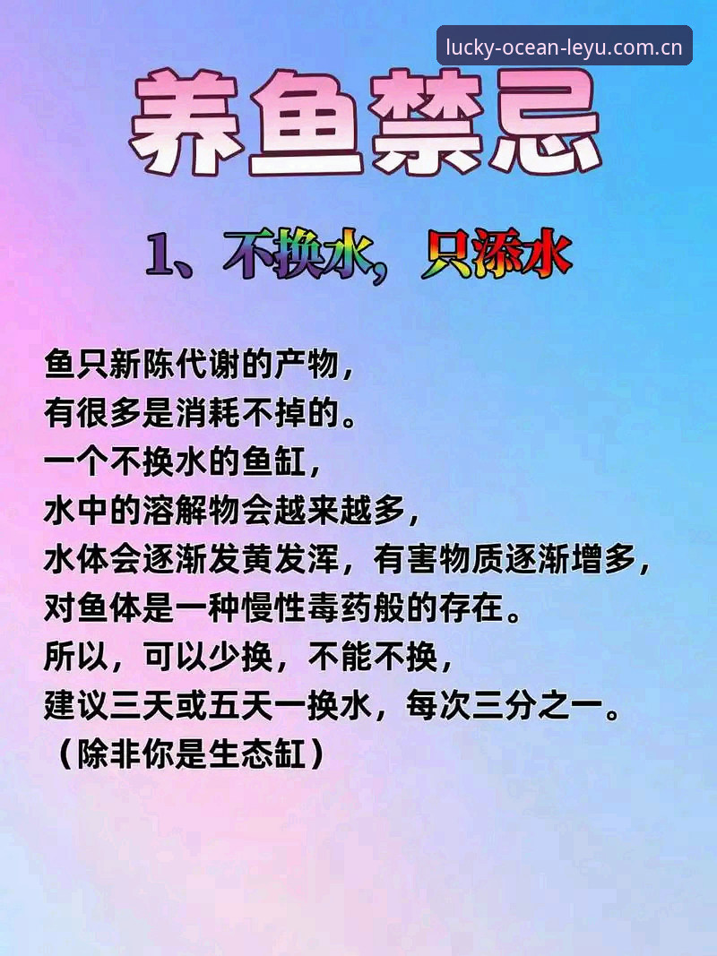 揭秘乐鱼中国首页：新手用户最想知道的几个关键问题